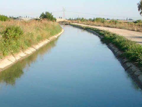 Kanaldan qadın meyiti tapıldı