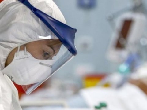 Azərbaycan Gürcüstandakı təhlükəli&nbsp;virusla bağlı hərəkətə keçdi