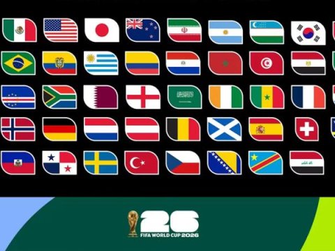 Facts from the World Championship: What permission did FIFA give to the teams?