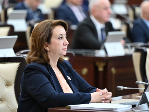 İnformasiya mühitində uşaqların qorunması dövlətin strateji hədəfidir