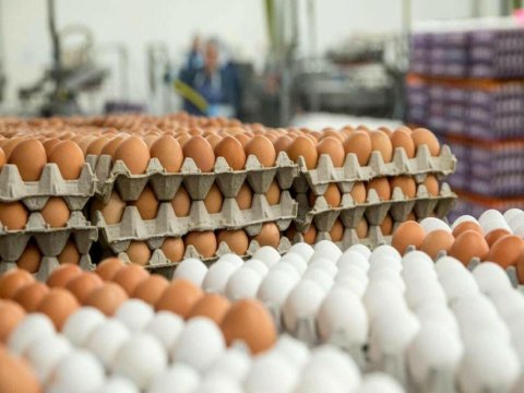 &ldquo;Süni yumurta&rdquo; iddialarına RƏSMİ CAVAB