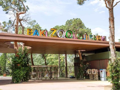 Bakı Zooparkı ləğv edilir