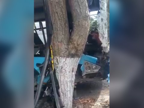 Bakıda avtobus&nbsp;ağaca çırpıldı, 11 nəfər yaralandı - VİDEO