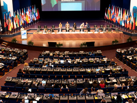 The Hague session revealed Azerbaijan's diplomatic success