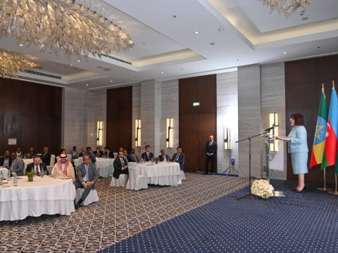 Spiker Efiopiyayada&nbsp;bir sıra ölkələrin səfirləri ilə görüşdü - FOTO
