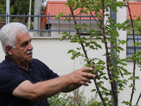Kərkicahana dönüş: 33 ilin həsrətini sona çatdıran yol - FOTO
