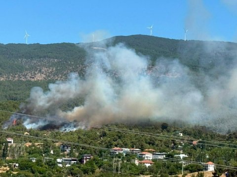 Türkiye'de şiddetli orman yangınları devam ediyor