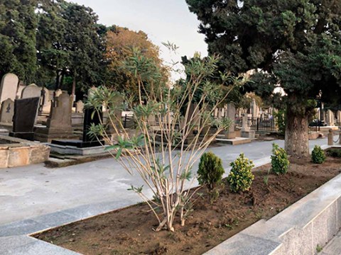 Meyiti qəbiristanlığın yaxınlığında tapıldı
