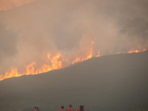Almaniyada meşə yanğınları baş verib&nbsp;