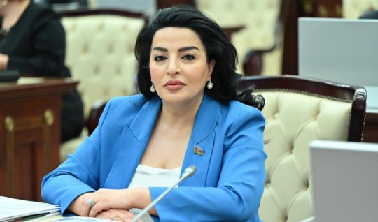 Bundan sonra da yeni-yeni Zəfərlər qazanacağıq!