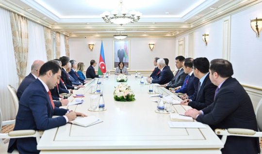 Sahibə Qafarova türkiyəli deputatlarla görüşüb - FOTO