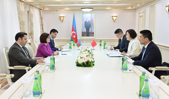 Sahibə Qafarova yeni səfirlə görüşdü - FOTO