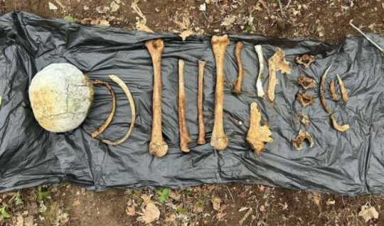 Ağdamda Maqsudlu kəndi ərazisində sümük qalıqları tapıldı