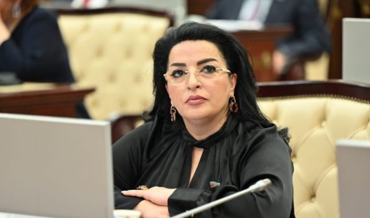 Azərbaycanın enerji diplomatiyası yeni mərhələyə qədəm qoyub