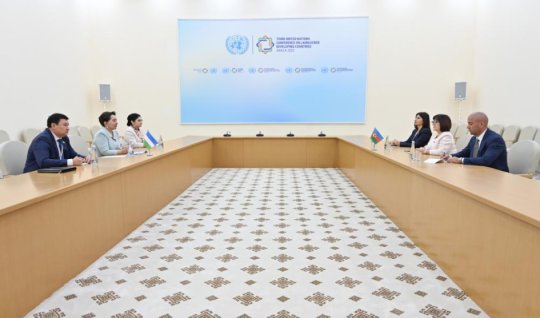 Sahibə Qafarova Türkmənistanda özbəkistanlı həmkarı ilə görüşdü