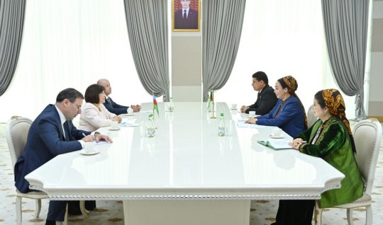 Sahibə Qafarova həmkarı ilə görüşdü