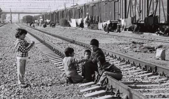 Məcburi köçkün statusunun ləğvi hələ tezdir - Deputat əsaslandırdı