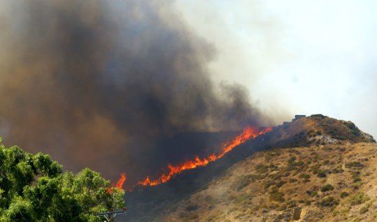 Qarabağdakı yanğınlarda insan faktoru mühüm rol oynayır - DEPUTAT