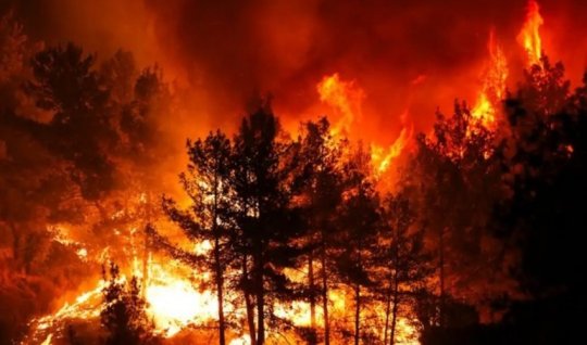 Forest fires in Turkey