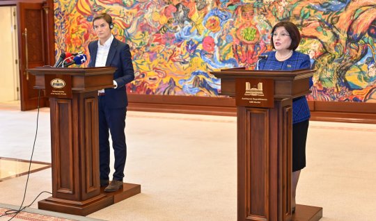Sahibə Qafarova həmkarı ilə nələri müzakirə edib?