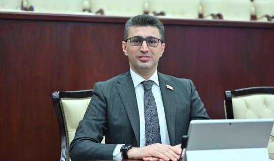 Onların valideynlik hüququnu əlindən almaq nə dərəcədə doğrudur?