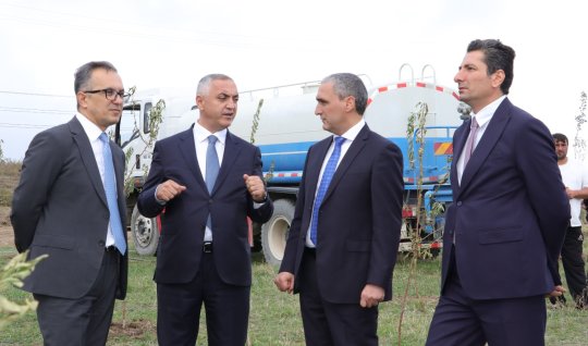 Ballıcada badam ağacları əkilib - FOTO 