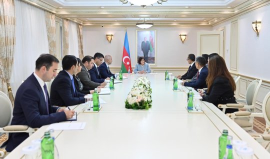 Sahibə Qafarova Ramil Həsəni qəbul etdi