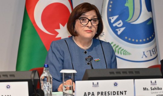 Sahibə Qafarova Cenevrə görüşünə sədrlik etdi - FOTO