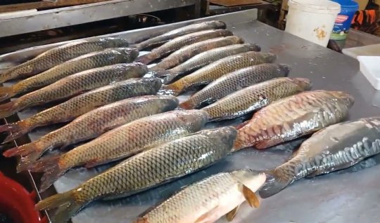 На рынках Баку рыба тоже ПОДОРОЖАЛА