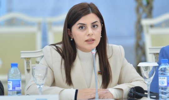 Deputat Malayziyaya gedir