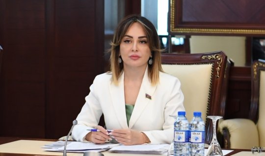 Kiber hücumlarla mübarizə strateji hədəflər sırasındadır