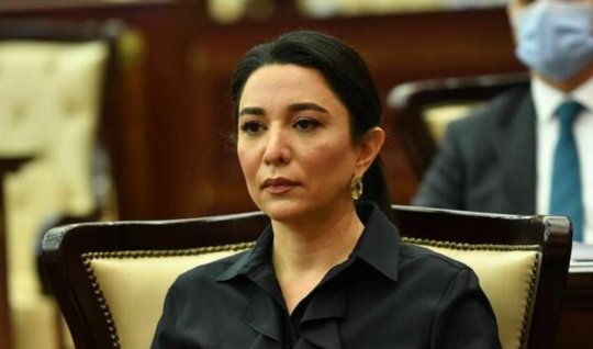 Səbinə Əliyevadan MAXE-lərlə bağlı VACİB TƏKLİF