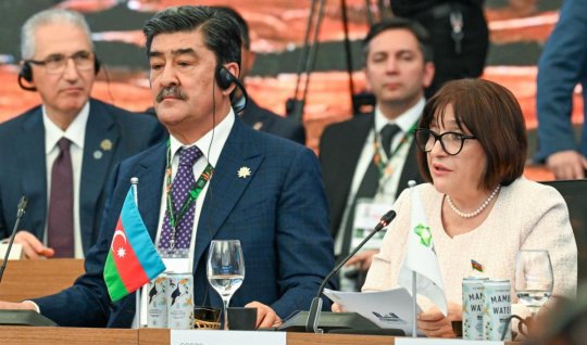 Sahibə Qafarova COP30-da çıxış etdi