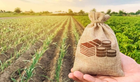 Kənd təsərrüfatı üçün 1,2 milyard