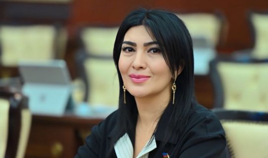 Milli Kitab Mükafatı təsis edilsin!