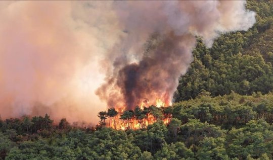 Hyrcanian forests are burning in Iran - Tehran requests aid