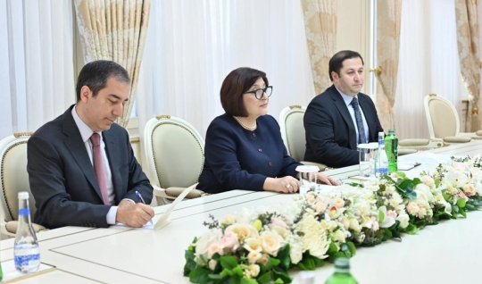 Slovakiya səfiri Sahibə Qafarova ilə görüşdü - FOTO