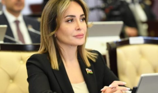 Həmrəyliyimiz antimilli dairələri fiaskoya uğratdı