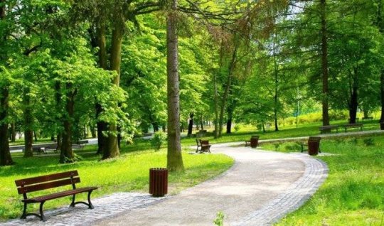 Bu rayonların ərazilərini əhatə edəcək yeni milli parkın xəritə-sxemi hazırlandı