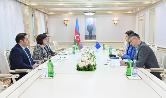 Spiker Aİ-nin Azərbaycandakı nümayəndəliyinin rəhbəri ilə görüşdü - FOTO