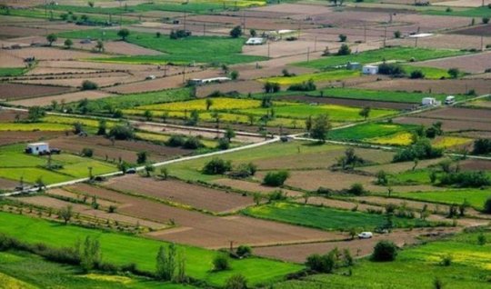 Kənd təsərrüfatı sahəsində tikinti ilə bağlı yeni qayda&nbsp;