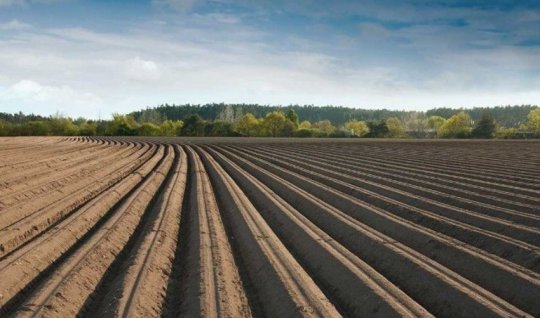 Əkin yerinin yandırılmasına görə yeni cərimələr, inzibati həbs müəyyənləşir