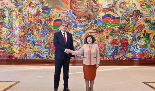 Sahibə Qafarova Monteneqro XİN rəhbəri ilə görüşdü - FOTO