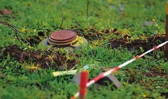 Azərbaycanda minatəmizləmədə heyvanların istifadəsi rəsmiləşdirilir