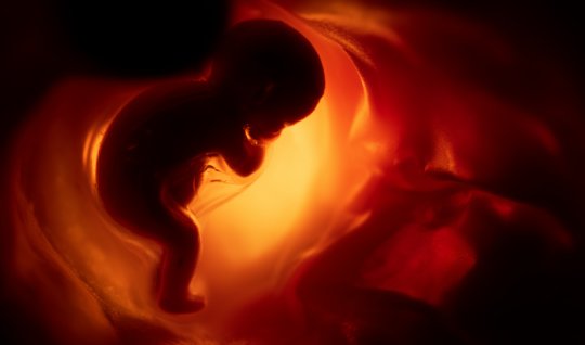 Xidməti ixtiralardan gəlirin azı 50%-i müəlliflərə veriləcək