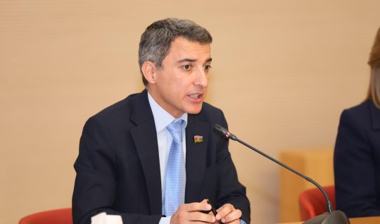 Deputat dövlət qurumunun hesabatı ilə razılaşmır