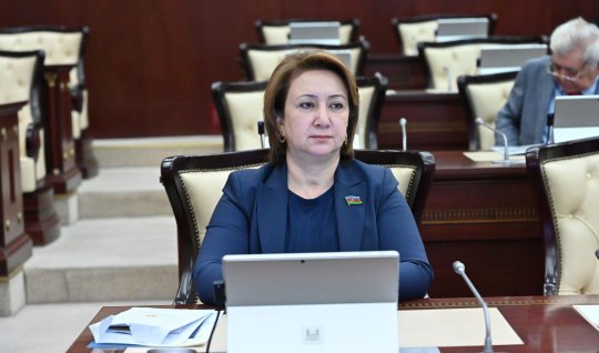 Gənclər siyasəti dövlətin inkişaf strategiyasının tərkib hissəsidir