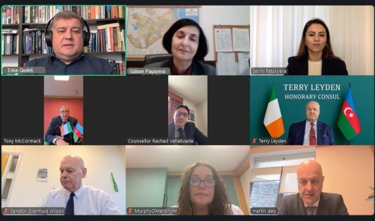 Azərbaycanla İrlandiya parlamentarilərinin görüşü keçirilib