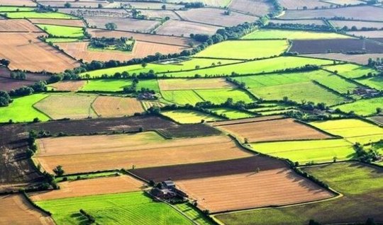 Bələdiyyə tərəfindən qanunsuz ayrılan minlərlə hektar torpaq geri qaytarılıb&nbsp;