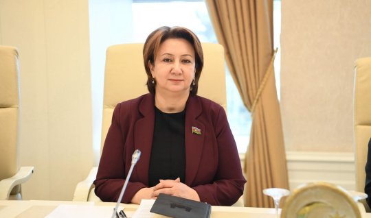 Azərbaycan&ndash;Serbiya münasibətləri strateji mərhələdə